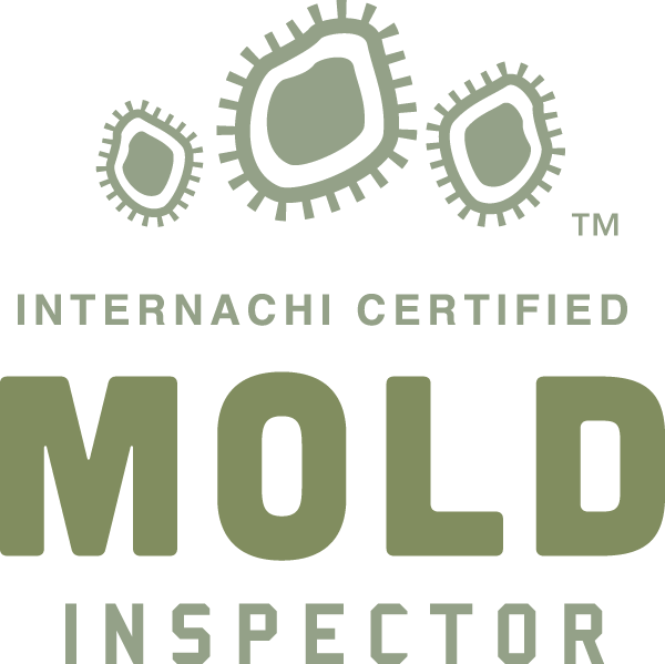 Mold Inspection and Testing Internachi Certified